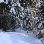 Danta di Cadore con la neve