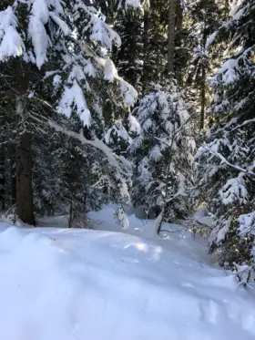 Danta di Cadore con la neve