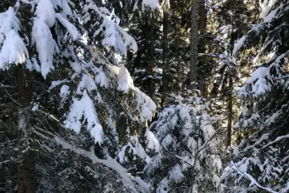 Danta di Cadore con la neve