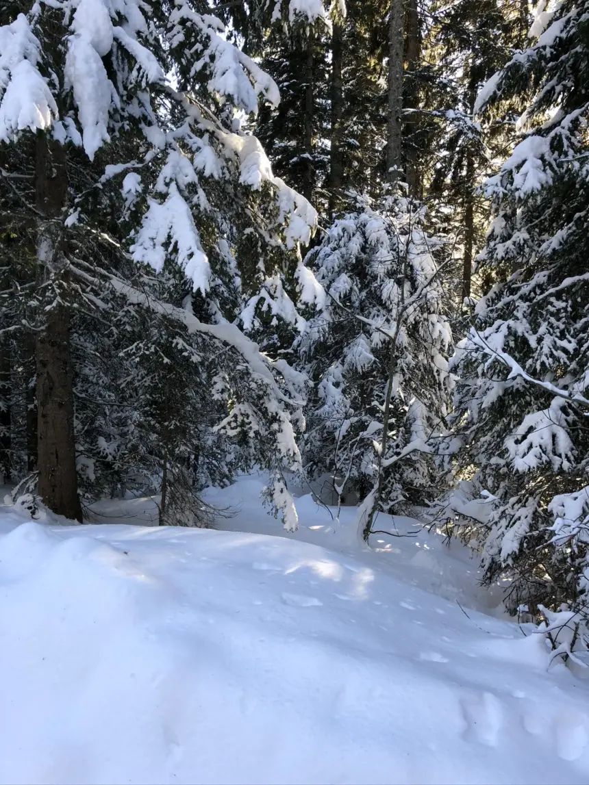 Danta di Cadore con la neve