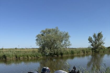 cropped-img_0461.jpeg