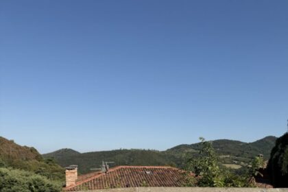 IMG_0709