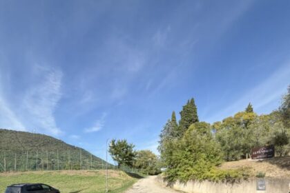 cropped-img_0819.jpeg